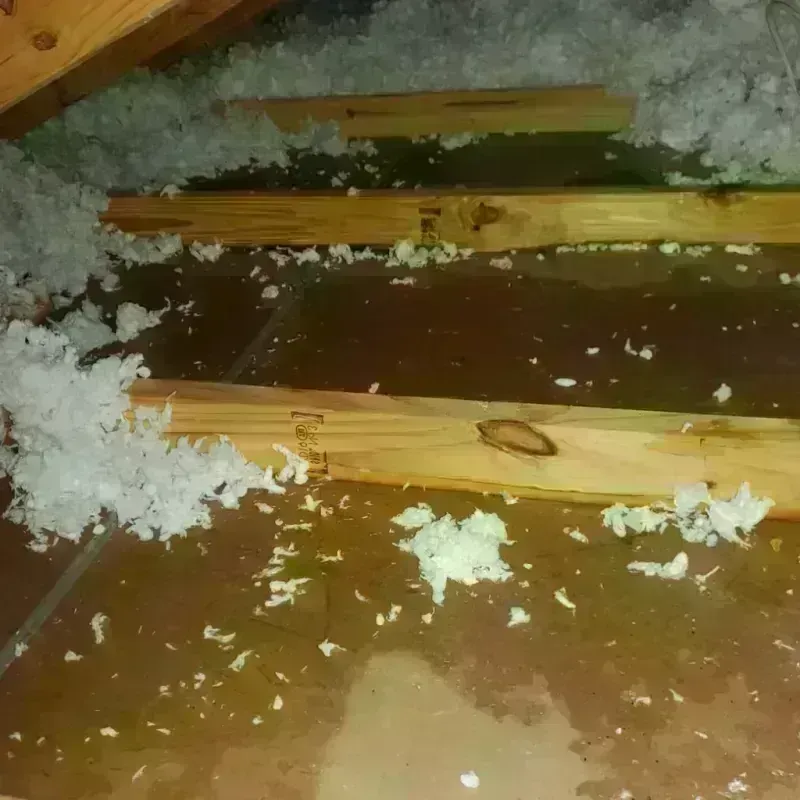 Attic Water Damage in Waxhaw, NC